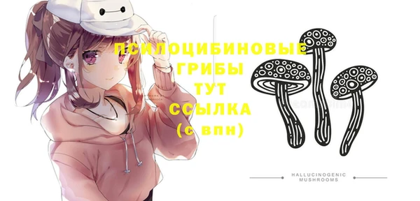 Альфа ПВП Арсеньев