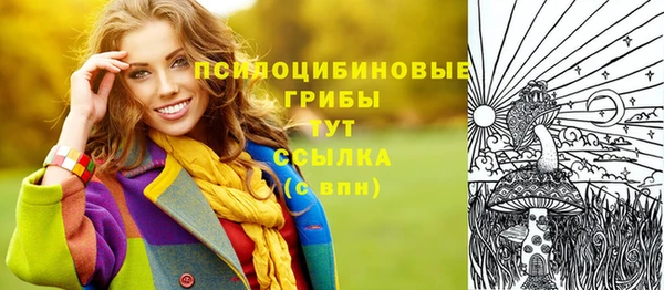 ECSTASY Армянск